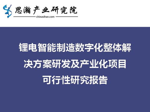 锂电智能制造数字化整体解决方案研发及产业化项目可行性研究报告 数据处理和存储服务